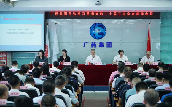 世界杯正规手机版会议传达学习贯彻党的二十届三中全会精神